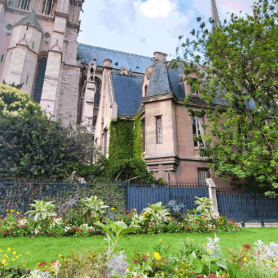 Notre Dame exterior view from Jean XXIII Park, Paris